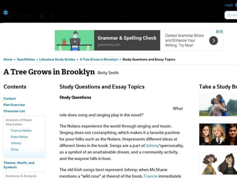 A Tree Grows in Brooklyn by Betty Smith: Study Guide - Mini Essays Study Guide