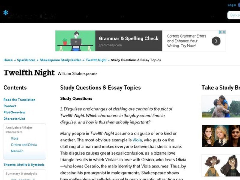Twelfth Night by William Shakespeare: Study Guide - Mini Essays Study Guide