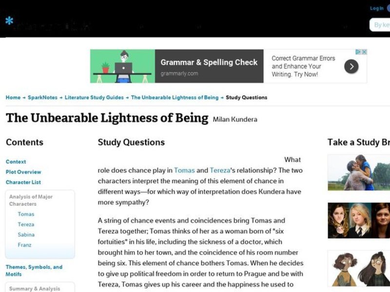 The Unbearable Lightness of Being by Milan Kundera: Study Guide - Mini Essays Study Guide