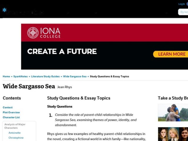 Wide Sargasso Sea by Jean Rhys: Study Guide - Mini Essays Study Guide