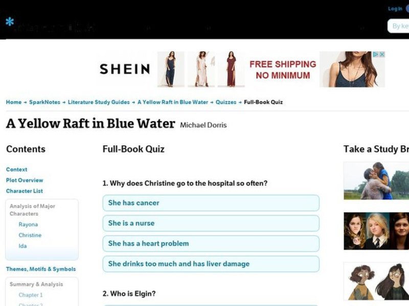 A Yellow Raft in Blue Water Quiz Interactive