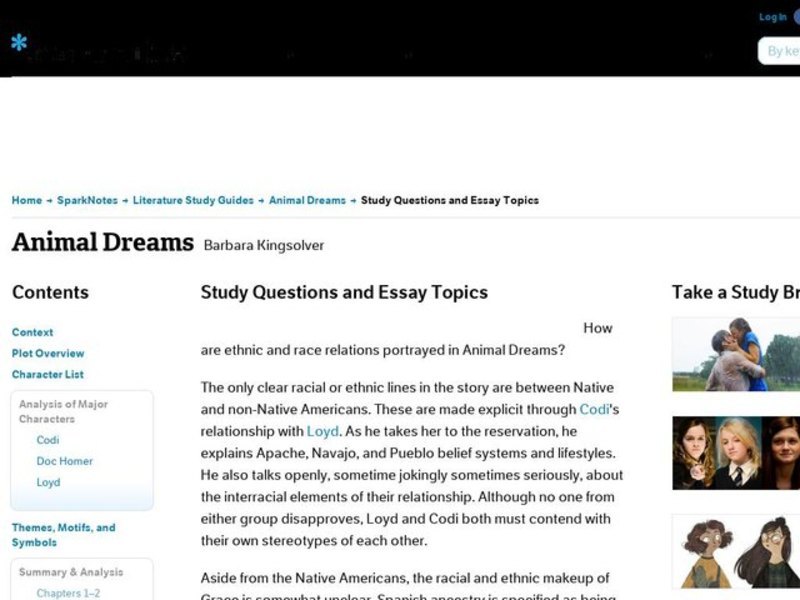 Animal Dreams by Barbara Kingsolver: Study Guide - Mini Essays Study Guide