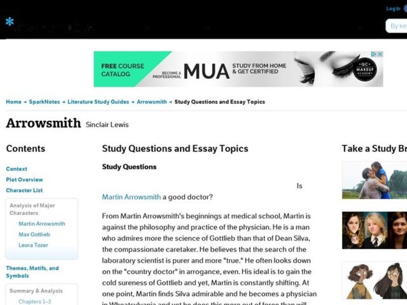 Arrowsmith by Sinclair Lewis: Study Guide - Mini Essays Study Guide