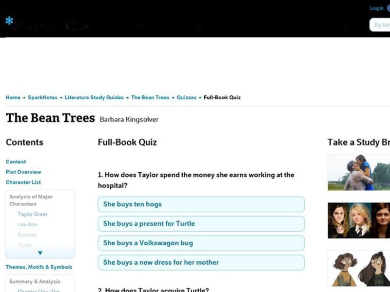 The Bean Trees Quiz Interactive