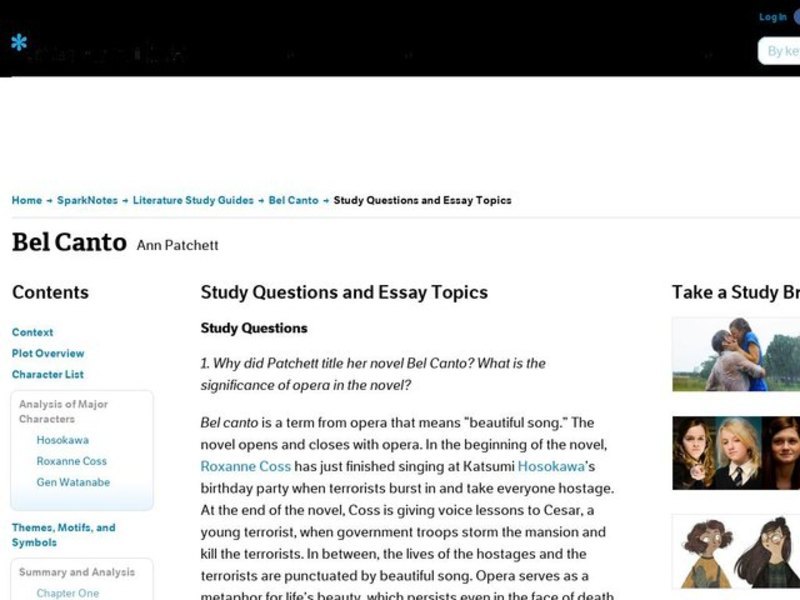 Bel Canto by Ann Patchett: Study Guide - Mini Essays Study Guide