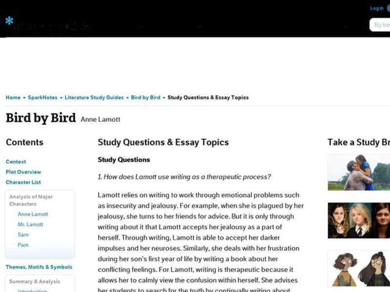 Bird by Bird by Anne Lamott: Study Guide - Mini Essays Study Guide