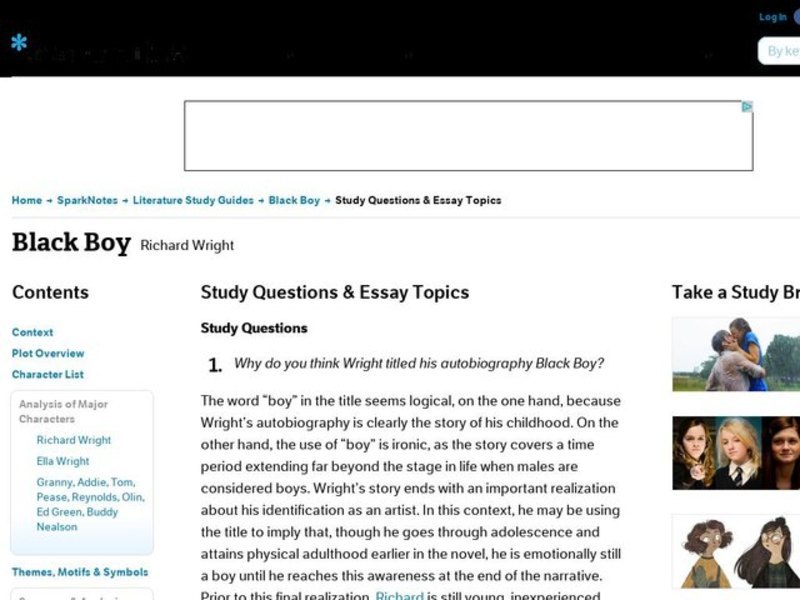 Black Boy by Richard Wright: Study Guide - Mini Essays Study Guide