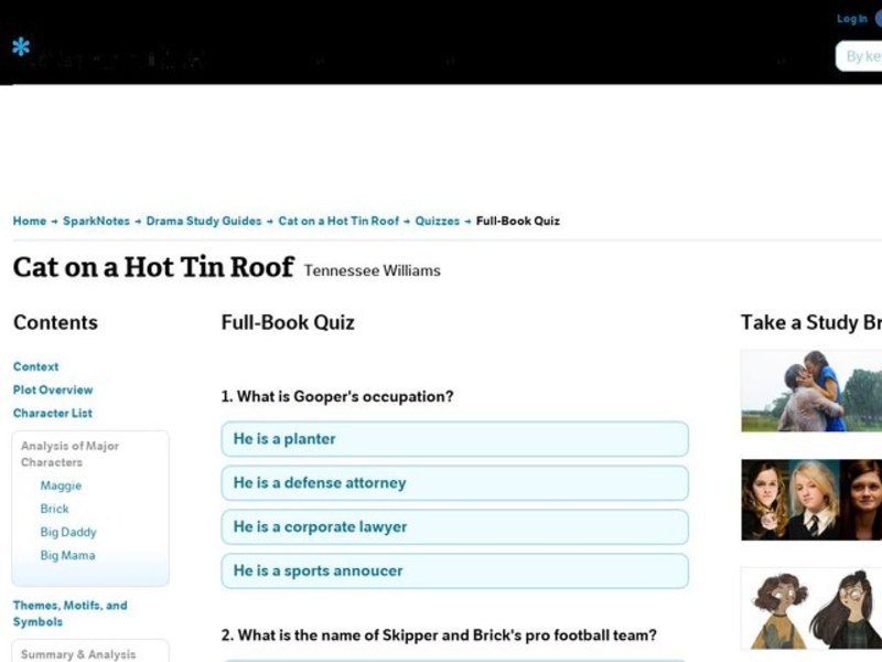 Cat on a Hot Tin Roof Quiz Interactive