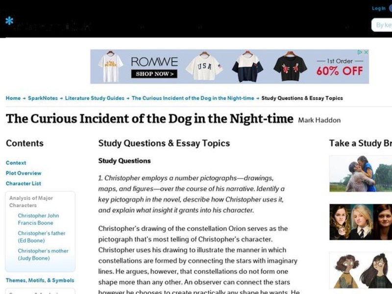 The Curious Incident of the Dog in the Night-Time by Mark Haddon: Study Guide - Mini Essays Study Guide