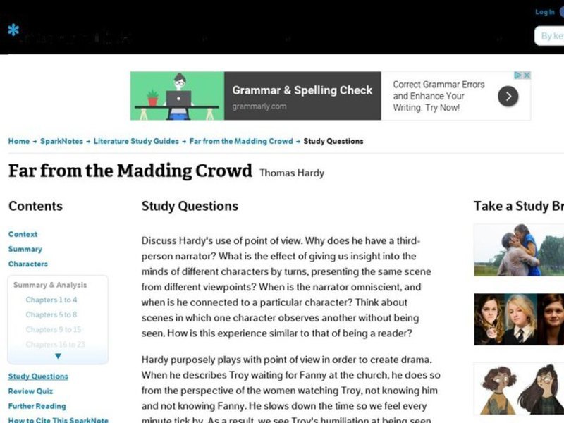 Far from the Madding Crowd by Thomas Hardy: Study Guide - Mini Essays Study Guide