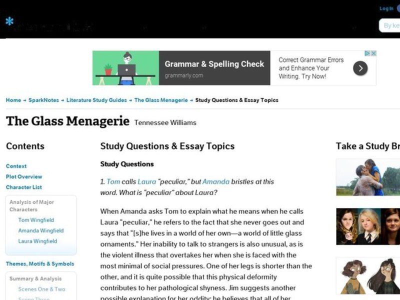 The Glass Menagerie by Tennessee Williams: Study Guide - Mini Essays Study Guide