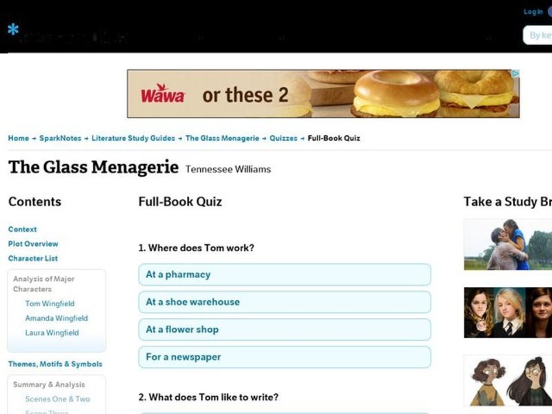 The Glass Menagerie Quiz Interactive