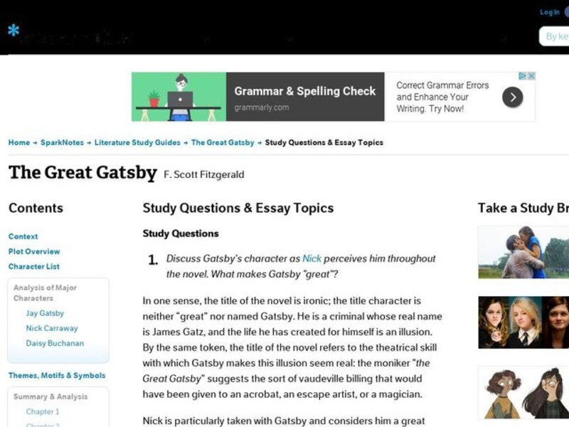 The Great Gatsby F. Scott Fitzgerald: Study Guide - Mini Essays Study Guide