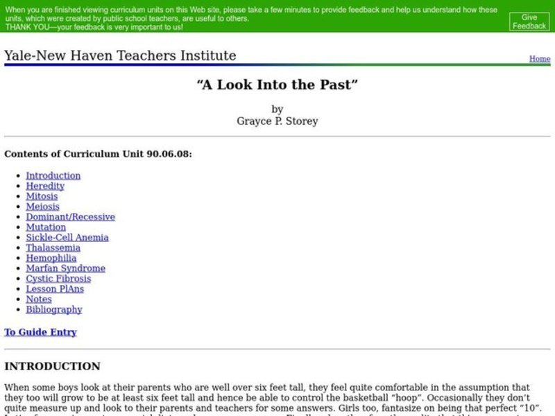 A Look Into the Past Lesson Plan