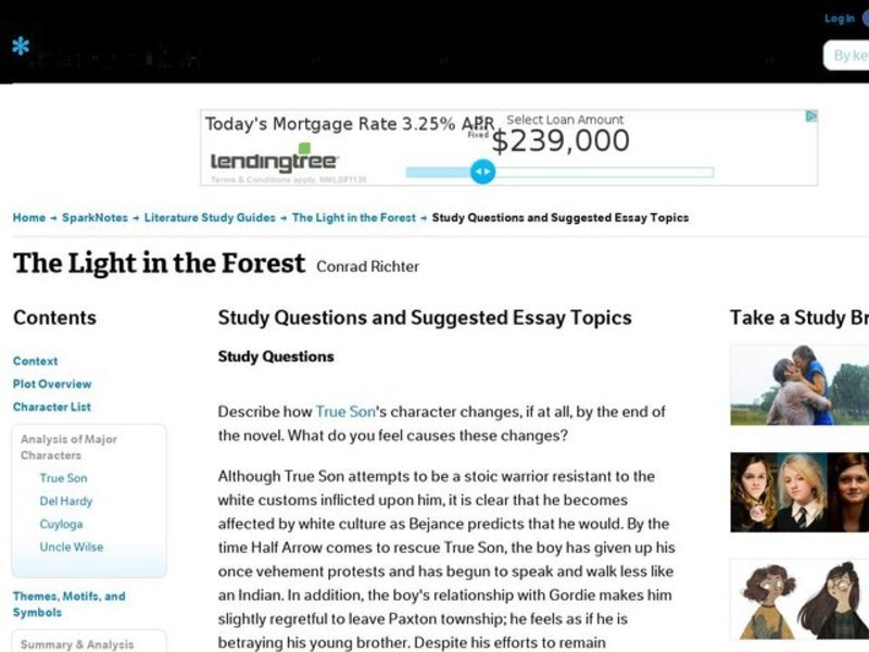 The Light in the Forest by Conrad Richter: Study Guide - Mini Essays Study Guide