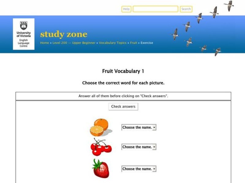 ESL: Fruit Vocabulary Worksheet