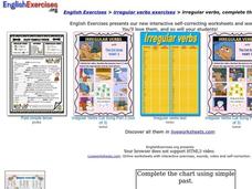 ESL: Irregular Verbs Organizer