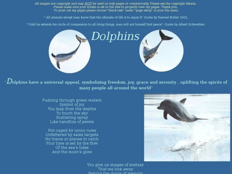 ESL: Dolphins Activity Interactive