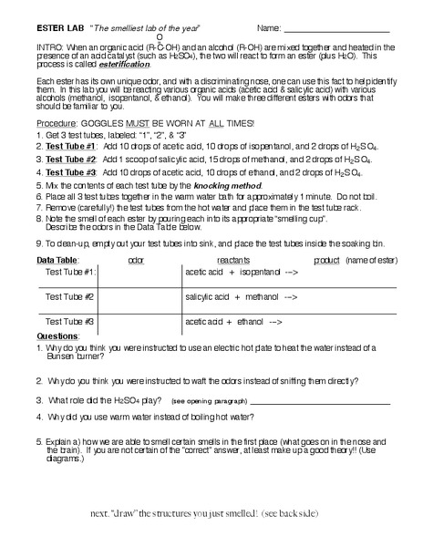 Ester Lab Lesson Plan