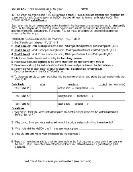 Ester Lab Worksheet