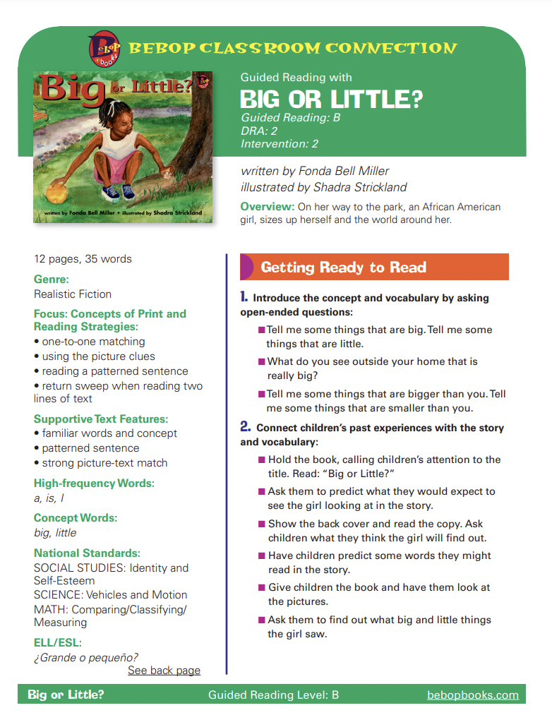 Big or Little Lesson Plan