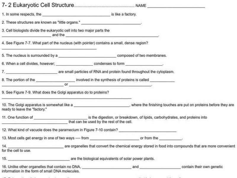 Eukaryotic Cell Structure Worksheet