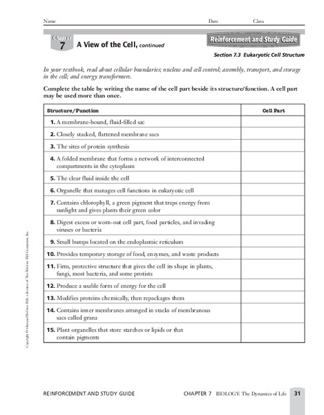 Eukaryotic Cell Structure Worksheet