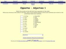 ESL-Adjective Opposites Interactive