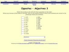 Opposites - Adjectives 3 Interactive