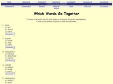 ESL: Which Words Go Together Interactive