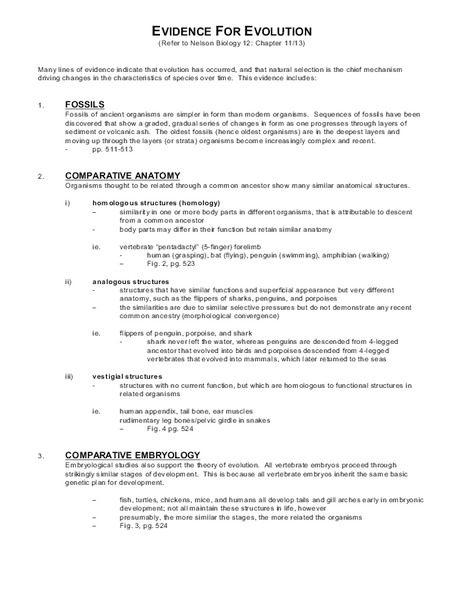 Evidence for Evolution Organizer