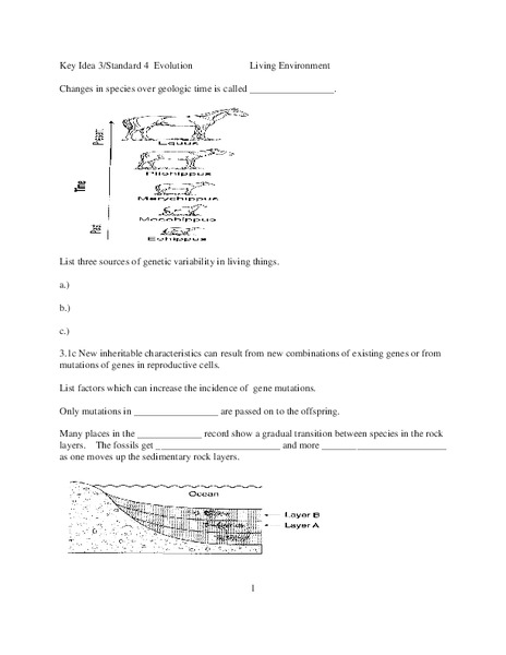 Evolution Lesson Plan
