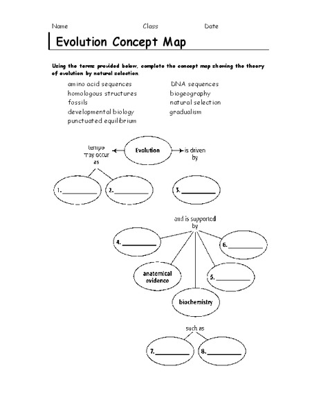 Evolution Concept Map Organizer