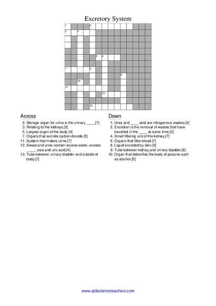 Excretory System Worksheet