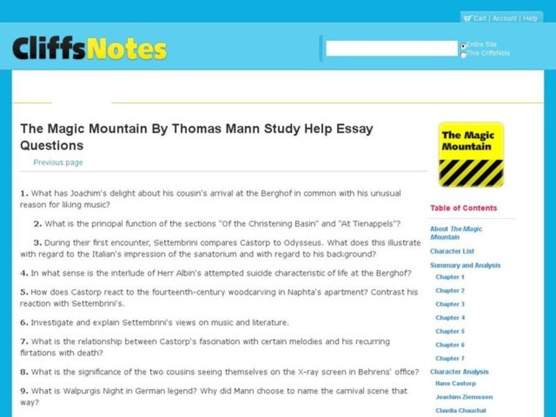 The Magic Mountain by Thomas Mann Interactive