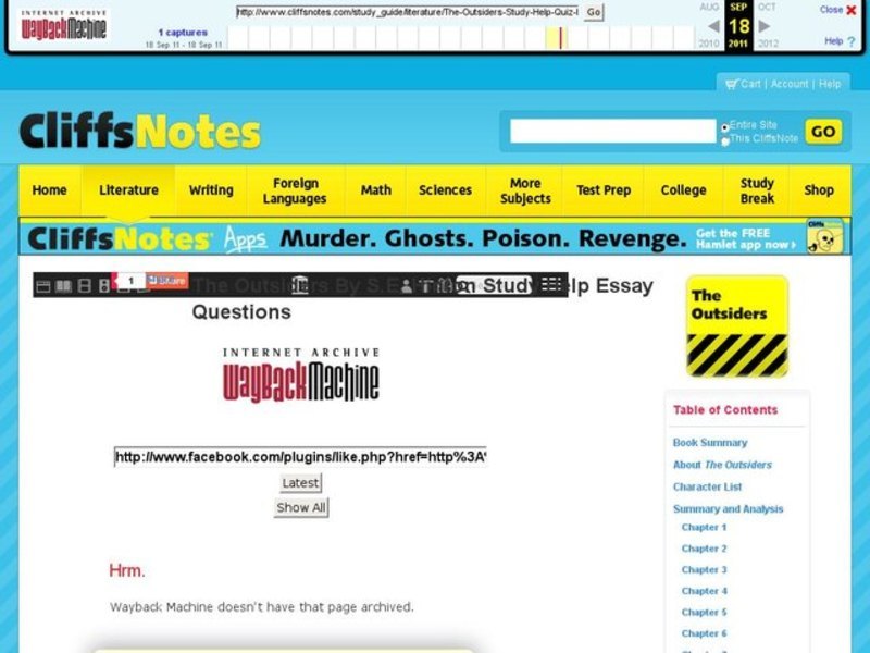 The Outsiders by S.E. Hinton Essay Questions Interactive