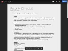 Experiment to Mimic the Digestive System Worksheet