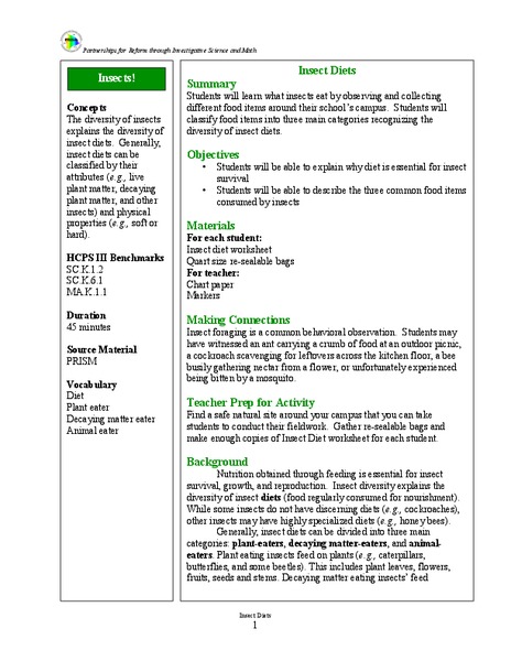 Insects! Lesson Plan