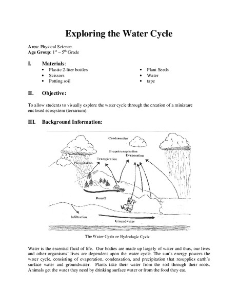 Exploring the Water Cycle Lesson Plan