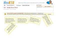 Identify Meiosis Phases Interactive