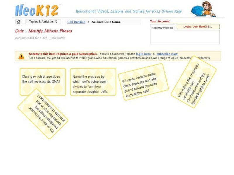 Identify Mitosis Phases Interactive