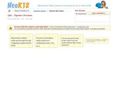 Digestive Processes Interactive