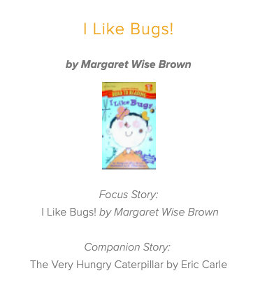 I Like Bugs! Lesson Plan