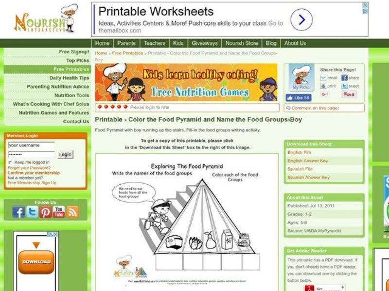 Exploring The Food Pyramid Worksheet