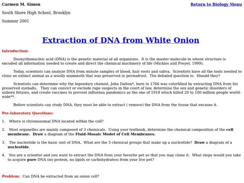 Extraction of DNA from White Onion Lesson Plan