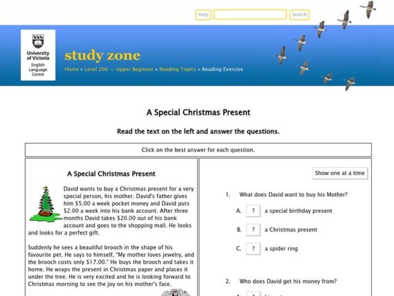 A Special Christmas Present Interactive