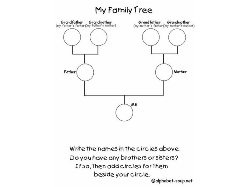 Family Tree Organizer