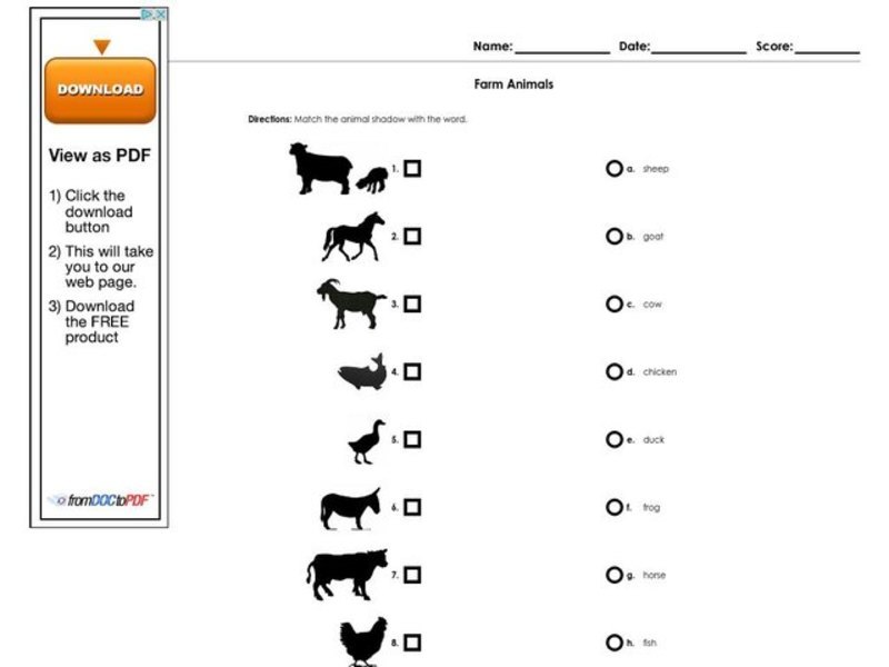 Farm Animals Worksheet
