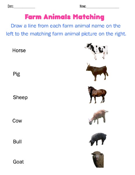 Farm Animals Matching Worksheet