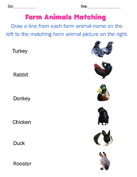 Farm Animals Matching Worksheet